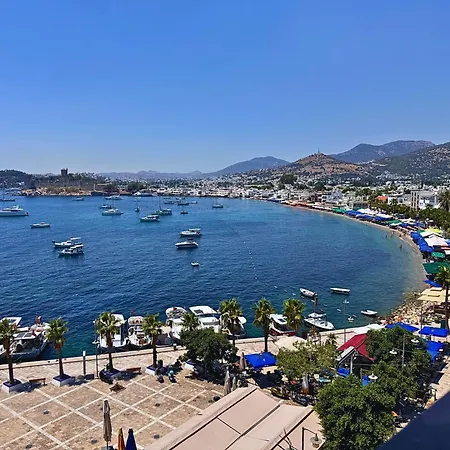 Gulet Αλικαρνασσός